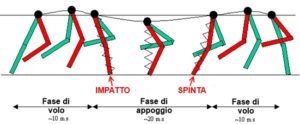 spinta