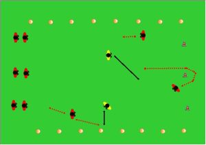 gioco dello sparviero calcio