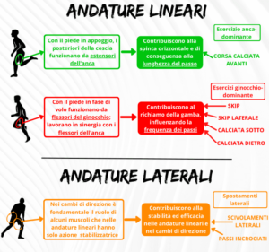 Andature lineari e laterali calcio