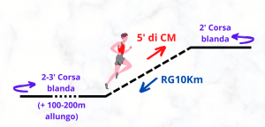 circuiti lydiard modificati