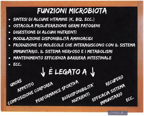 funzioni microbiota