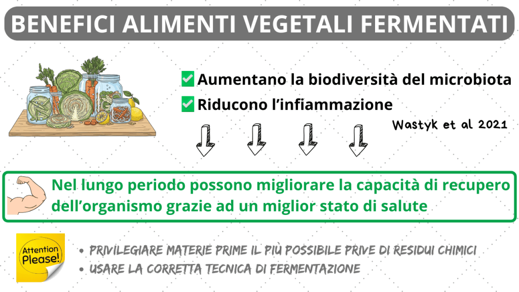 benefici degli alimenti vegetali fermentati per il microbiota e il recupero