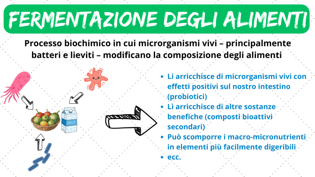 fermentazione alimenti