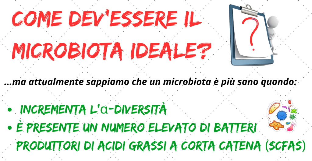 Infografica microbiota ideale con diversità e SCFA